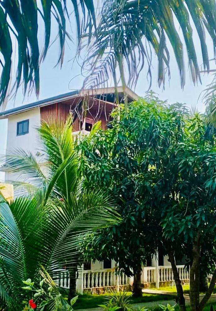 Serenity Haven Lodge Busua エクステリア 写真