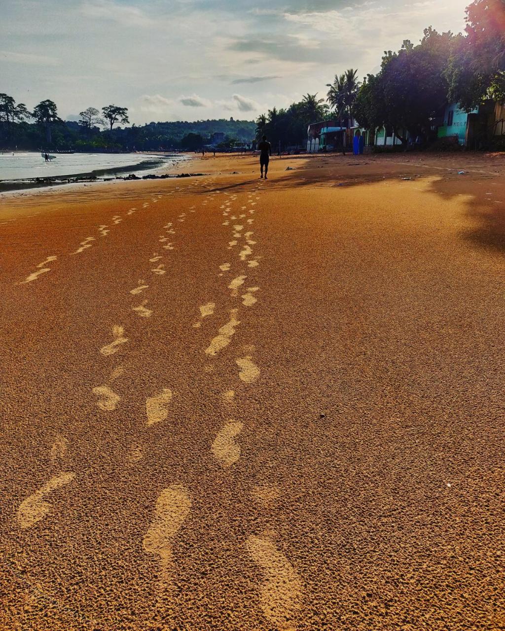 Serenity Haven Lodge Busua エクステリア 写真