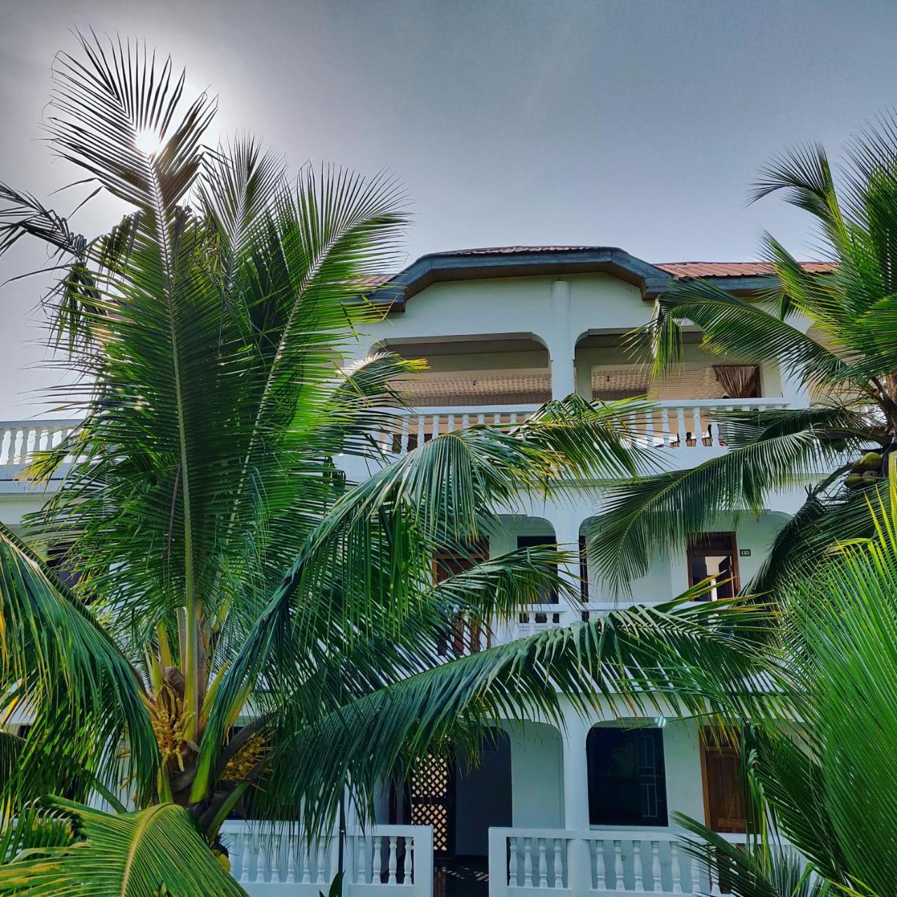 Serenity Haven Lodge Busua エクステリア 写真