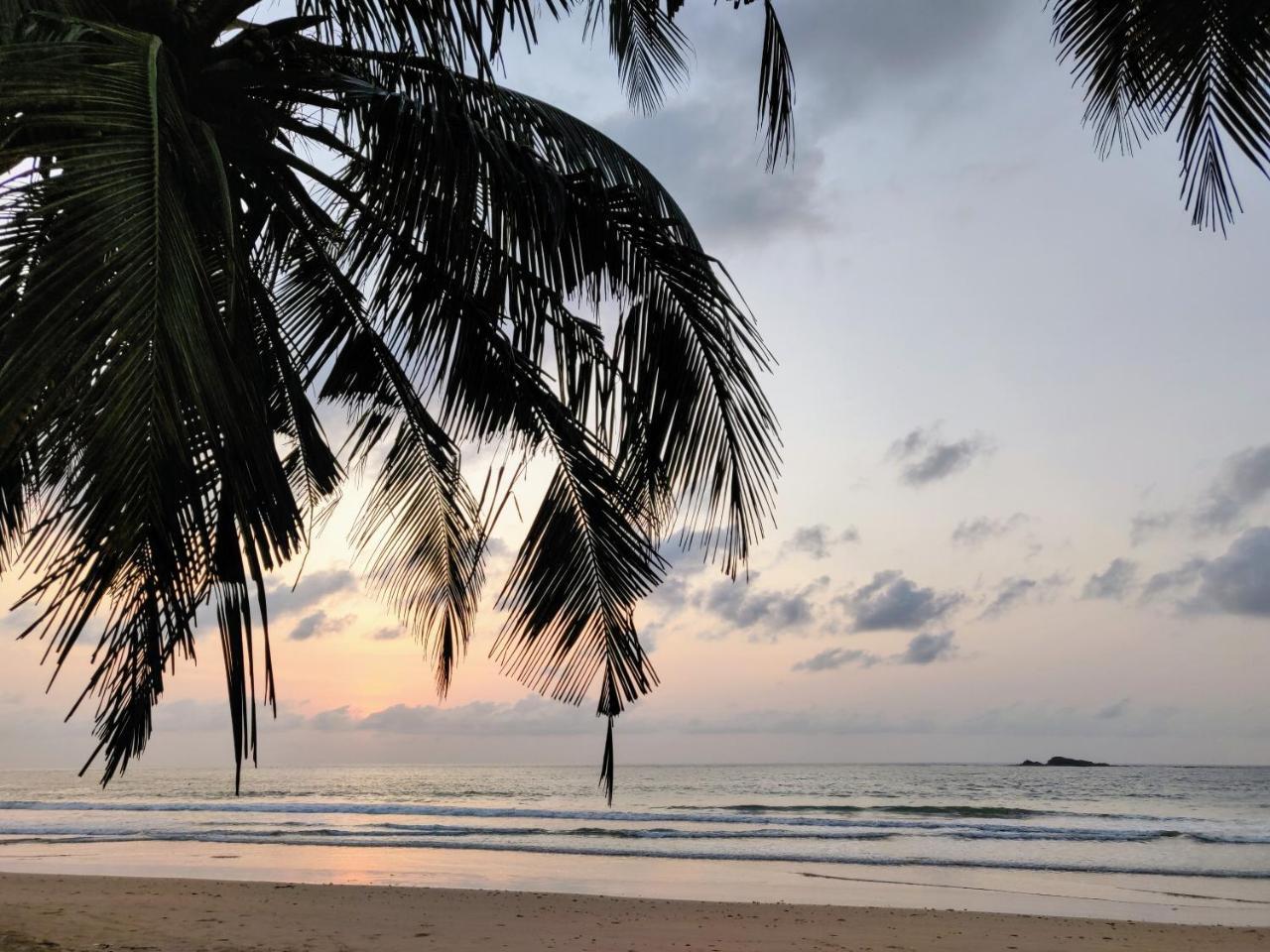 Serenity Haven Lodge Busua エクステリア 写真